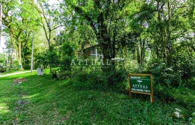 Imagem 3: LINDO LOTE NO CONDOMÍNIO PINHEIRO GROSSO