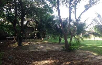 Imagem 11: Terreno no Alto do Calhau