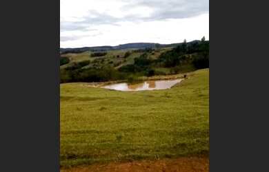 Imagem 4: Fazenda curiuva parana