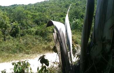 Imagem: O terreno possui 200m² de Área e está localizado em Pernambués