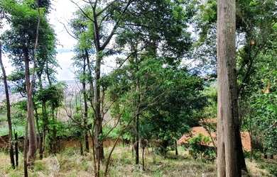 Imagem 4: Lote 1.000m² Jardim Pirineus ao Lado do Clube Minas Country