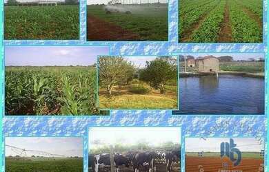 Imagem: A fazenda possui 87.000m² de Área e está localizado em Irecê