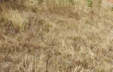 Imagem 1: Terreno à venda, 240 m² por R$ 150.000 - Vila Martins - Salto/SP