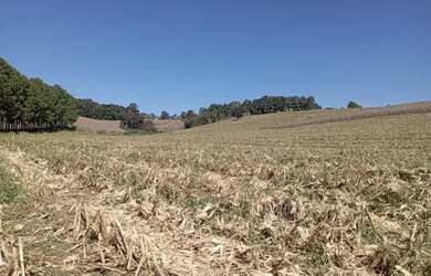 Imagem: O terreno possui 1000m² de Área e está localizado em Jardim