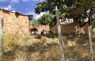 Imagem 2: Vendo lote barato. 