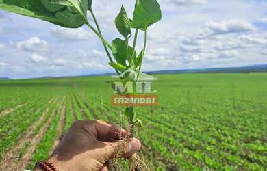 Imagem: A fazenda à venda possui e está localizado em Bom Jardim