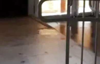 Imagem 5: PRÉDIO - VILA FORMOSA - SP