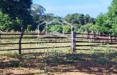 Imagem 10: ABAIXOU VENDO FAZENDA NA REGIÃO DE IBIAI MG, PARA DUPLA APTIDÃO