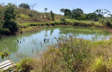 Imagem 15: Fazenda 705 ha ou 291,32 alq paulista em Presidente Olegário MG