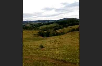 Imagem 2: Fazenda curiuva parana