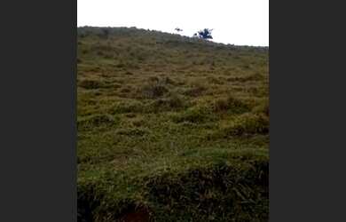 Imagem 3: Fazenda curiuva parana