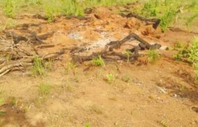 Imagem 11: . Fazenda 235 alqueires Especial para soja no Vale do Araguaia TO