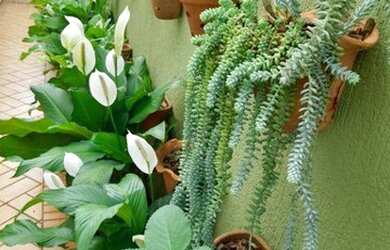 Imagem 4: Casa com 4 dormitórios, 601 m² - venda por R$ 1.260.000,00 ou aluguel por R$ 6.500,00/mês