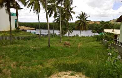 Imagem 4: Porto Belo / lote frente Rio -
