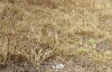 Imagem 3: Terreno à venda, 240 m² por R$ 150.000 - Vila Martins - Salto/SP