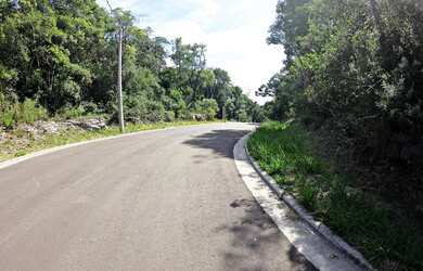 Imagem 2: Terreno - Bairro Floresta