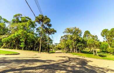 Imagem 12: TERRENO COM PARCELAMENTO DIRETO EM ATÉ 60X