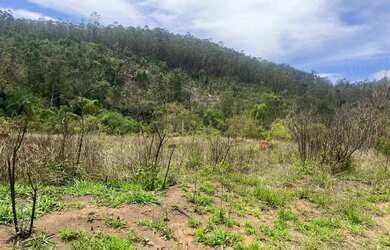 Imagem 2: Construa seu Chalé em ótimos terrenos em Mairiporã - Terrenos com ótimas...