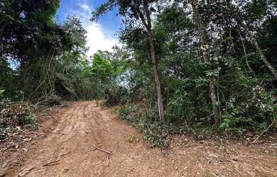 Imagem 13: Lote com 7 mil metros em Bela Vista de Goiás, com rio Piracanjuba nos...