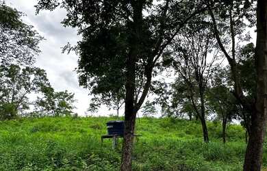 Imagem 16: Fazenda Niquelandia. 1.580.000m² de Área