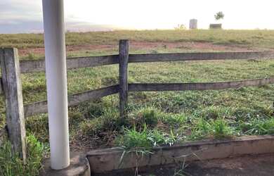 Imagem 13: Fazenda 705 ha ou 291,32 alq paulista em Presidente Olegário MG