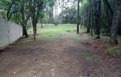 Imagem: O terreno possui 3.300m² de Área e está localizado em Butiatuvinha