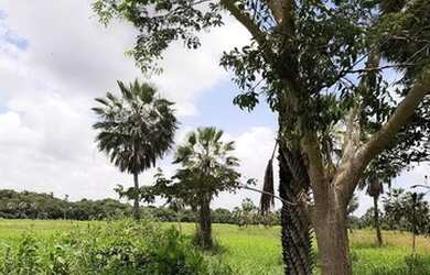 Imagem: Loteamento Reserva Camará a 7 km do Centro de Eusébio! Condomínio