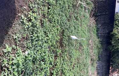 Imagem: O terreno possui 10.800m² de Área e está localizado em Recreio