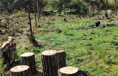 Imagem: O terreno possui 300m² de Área e está localizado em Taguatinga