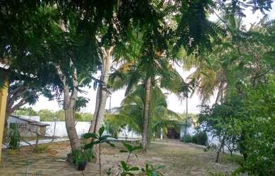 Imagem: A casa possui 3 Dormitórios, 2 Banheiros, 5 Vagas na garagem