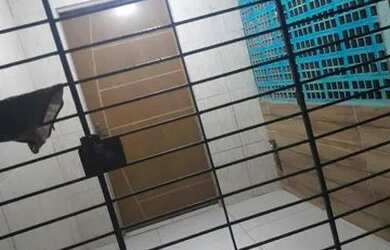 Imagem: A casa para alugar possui 2 Dormitórios e 2 Banheiros e está