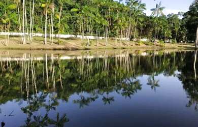 Imagem: A fazenda está localizado em Aparecida, Santarém à venda