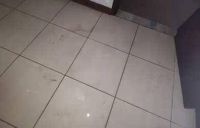 Imagem 14: Casa filé nos Cavaleiros c/ 4qts, send 1suíte, 2brs, 2vgs, quintal, amrs pnjds