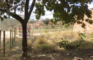 Imagem 5: Vendo lote barato. 