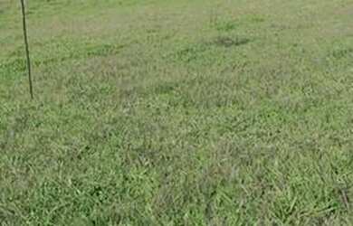 Imagem: O terreno possui 600m² de Área e está localizado em Centro