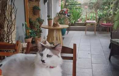 Imagem: A casa possui 5 Dormitórios, Acomodam 15 pessoas, 3 Vagas na