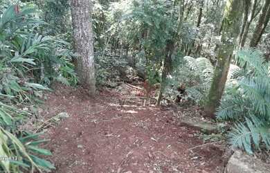 Imagem 10: Terreno à venda em Canela