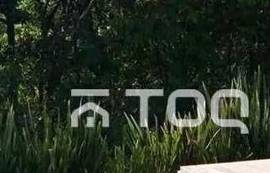 Imagem: Genesis 2 - Mobiliada com vista cinematográfica para mata