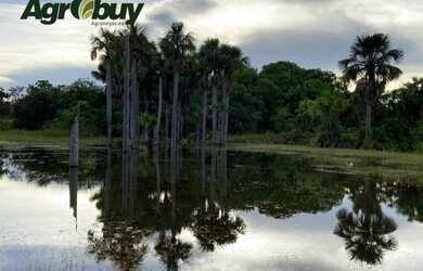 Imagem: A chácara possui 10m² de Área e está localizado em Jardim