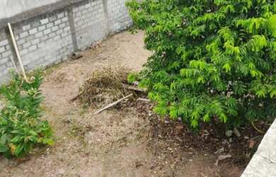 Imagem 6: Casa 2Q ao lado Rodovia Do Sol e Praia dos Recifes