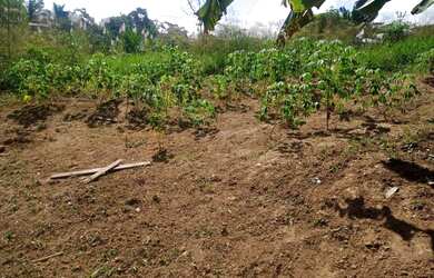 Imagem: O terreno possui 50m² de Área e está localizado em Loteamento