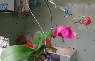 Imagem: A casa possui 2 Dormitórios, 2 Banheiros, 1 Vaga na garagem