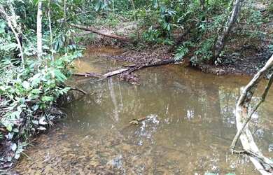 Imagem: A fazenda possui 3.100.000m² de Área e está localizado em