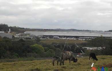 Imagem: O terreno à venda e está localizado em Louveira, SP por R$33.000.000