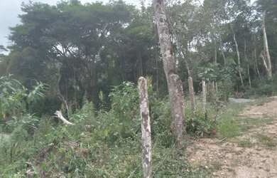 Imagem 7: Lindo terreno abaixo do valor de mercado apenas 47 mil reais