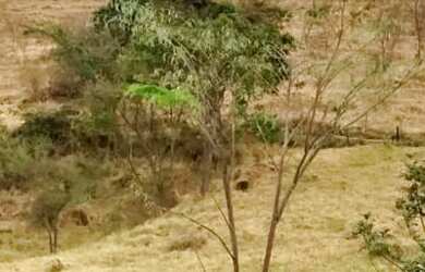 Imagem: A chácara possui 22.000m² de Área e está localizado em