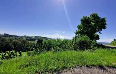 Imagem 4: Área de terra no interior de Monte Belo do Sul
