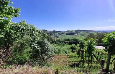 Imagem 5: Área de terra no interior de Monte Belo do Sul