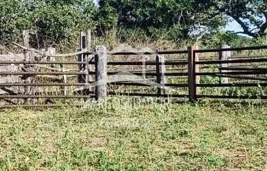 Imagem 2: ABAIXOU VENDO FAZENDA NA REGIÃO DE IBIAI MG, PARA DUPLA APTIDÃO