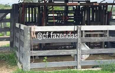 Imagem 2: Fazenda à venda em Goiás-Go